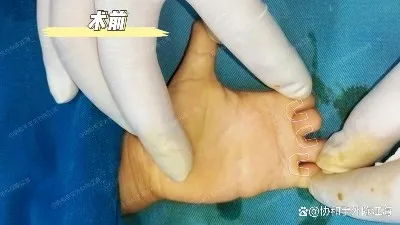 info-1242-699 info-1242-699